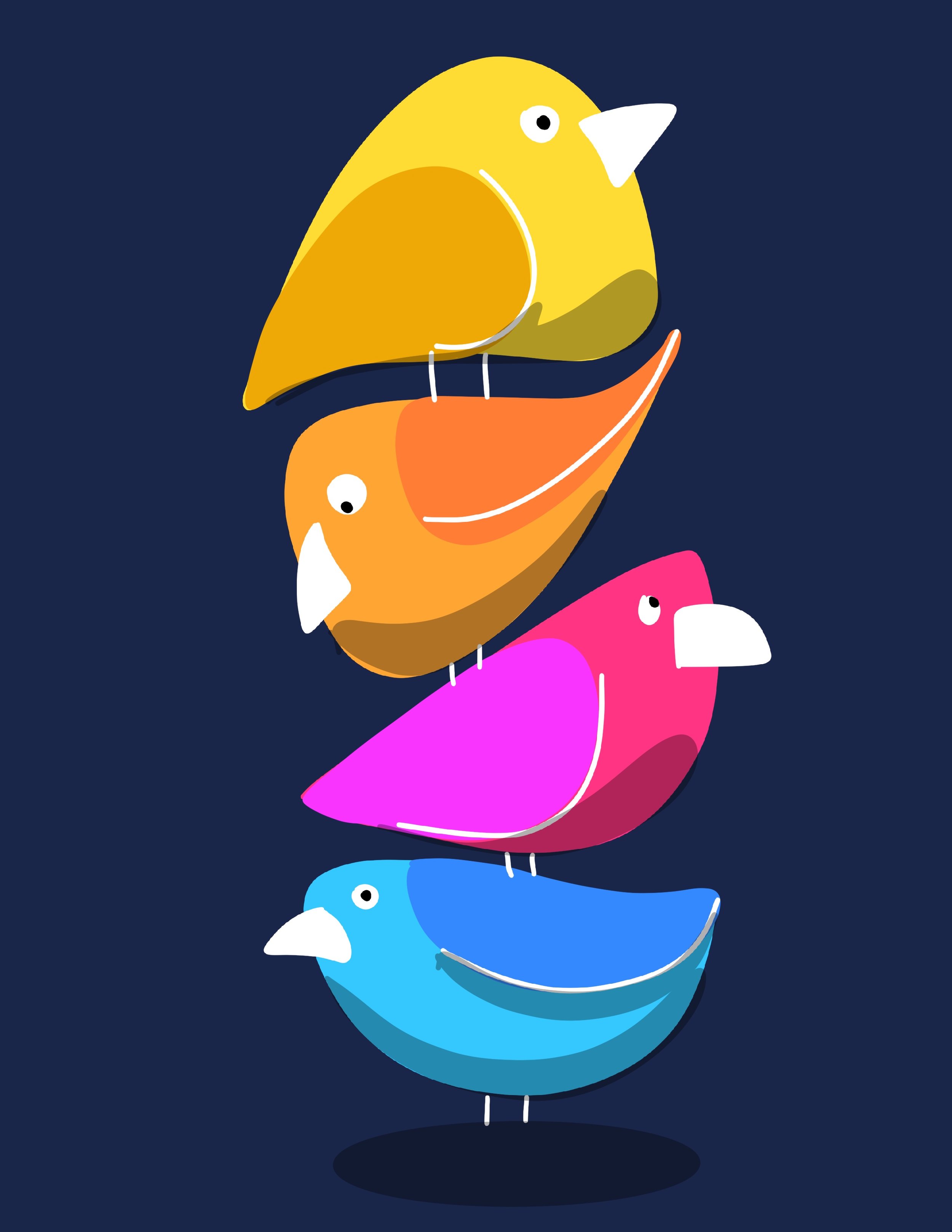 Bird Project.jpg