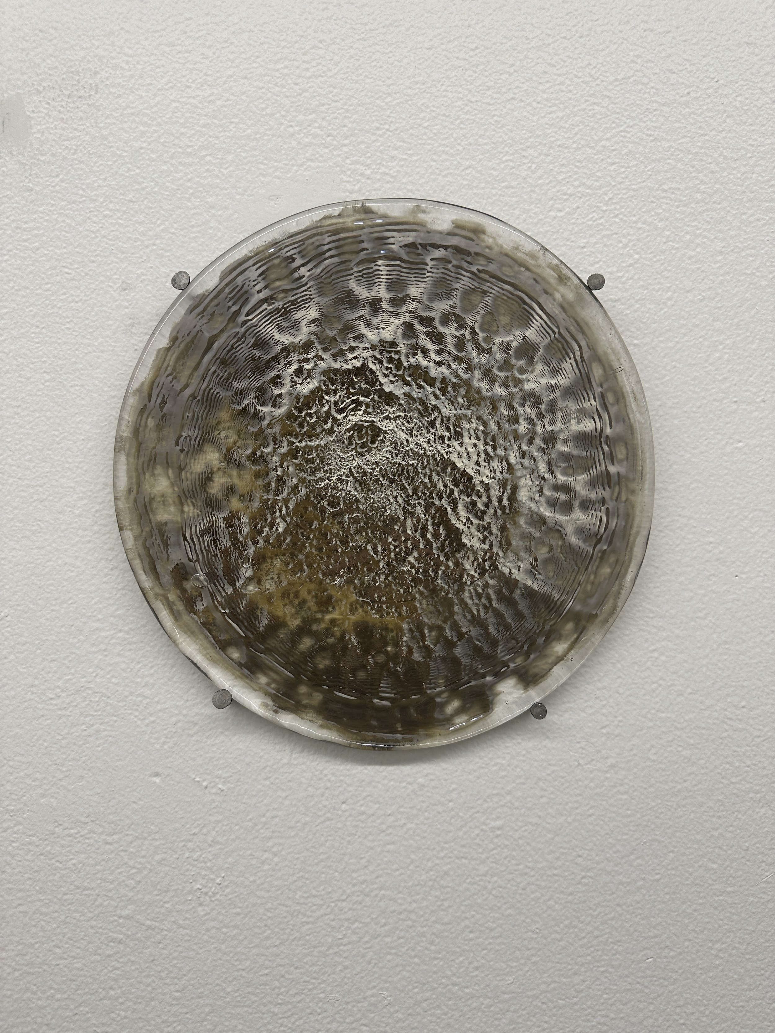 LeahBaron_Glass_Spring2026-19.jpg