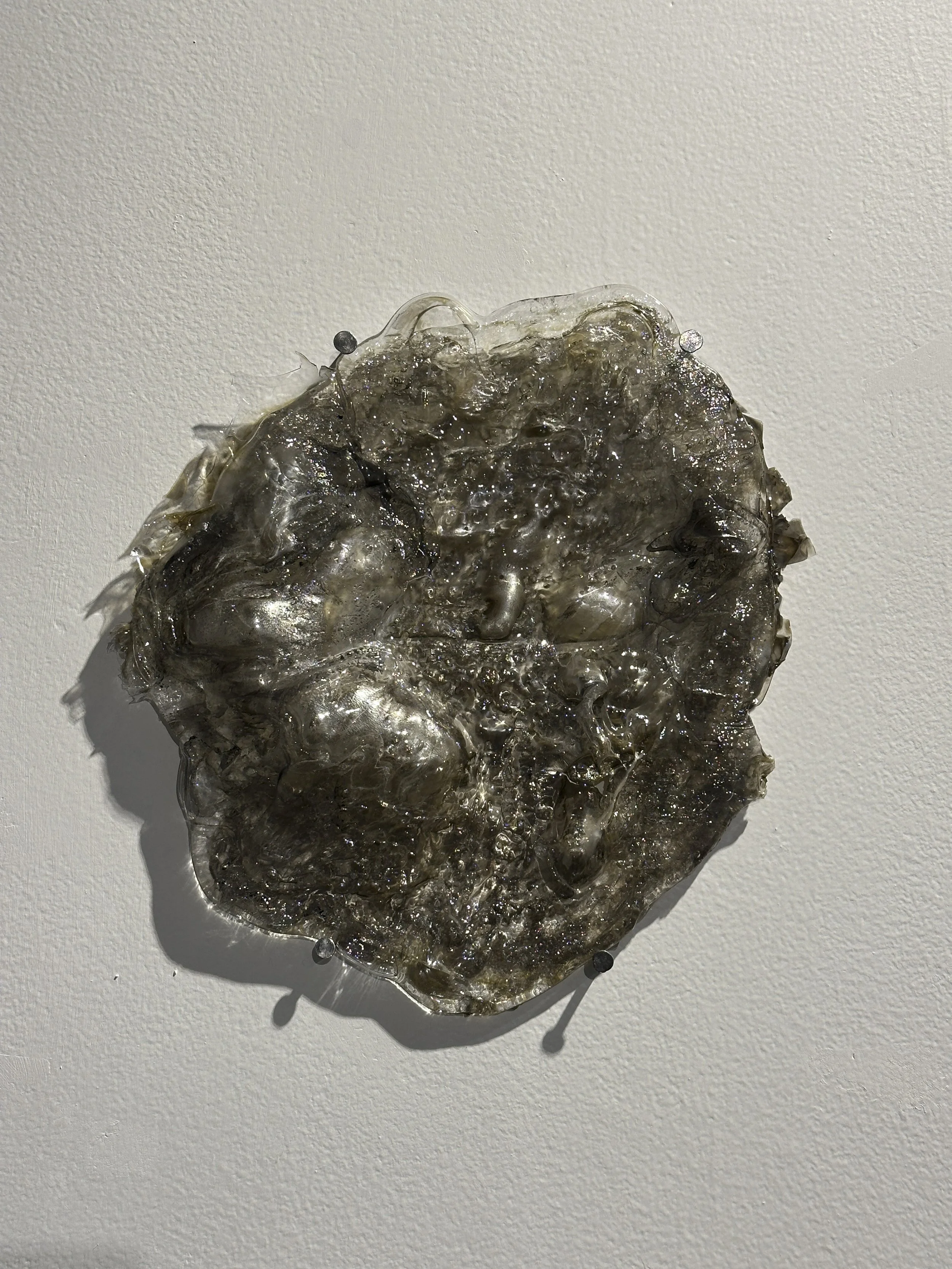 LeahBaron_Glass_Spring2026-18.jpg