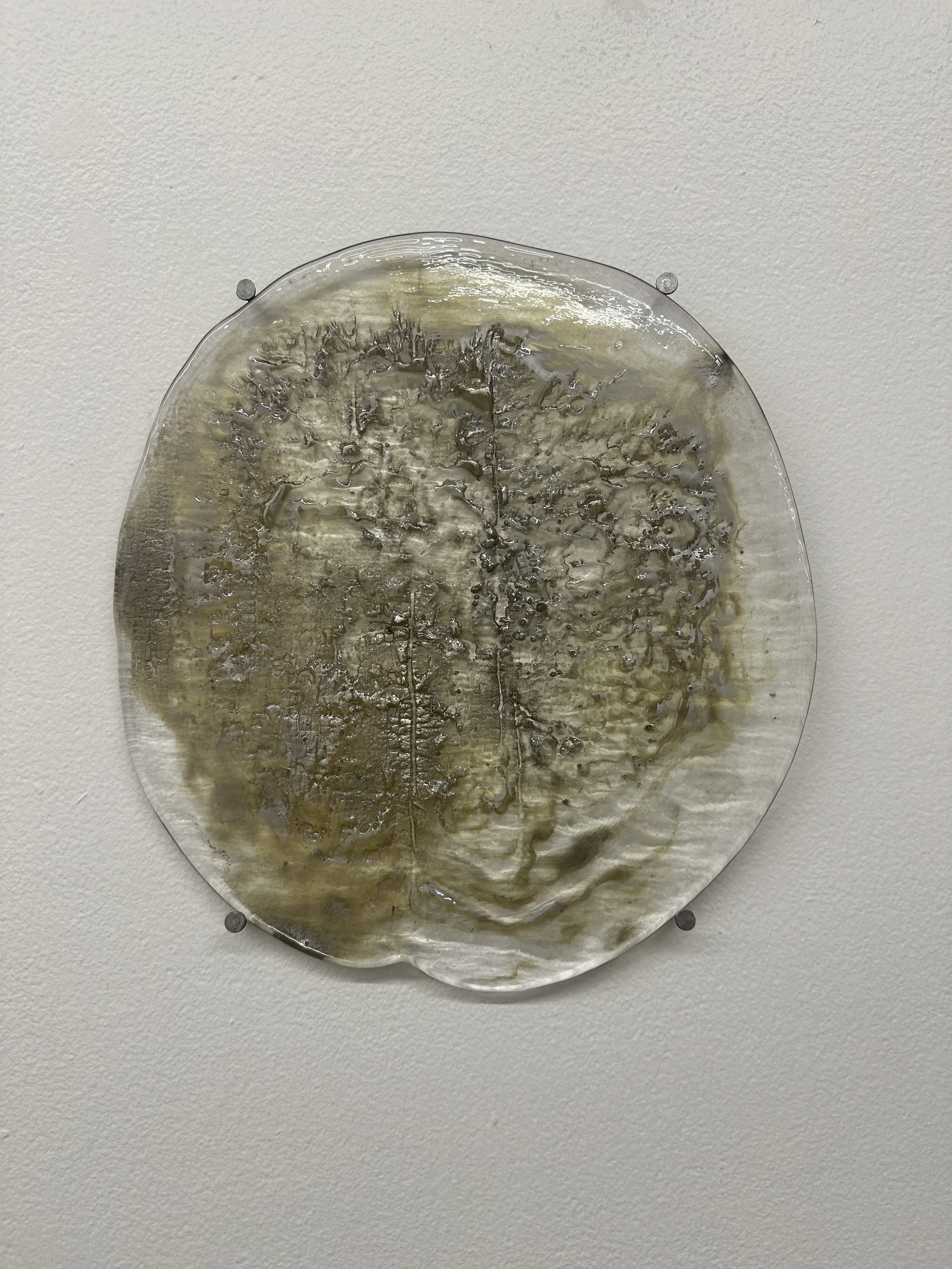 LeahBaron_Glass_Spring2026-16.jpg