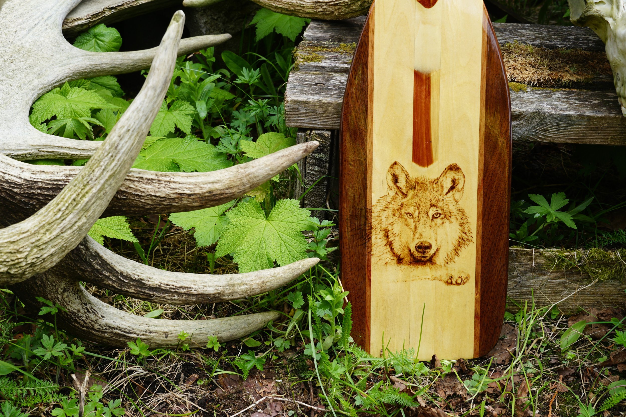 Isle Royale Wolf Paddle: A One-of-a-Kind Work of Art by Bob Whaley and Barb Griffin