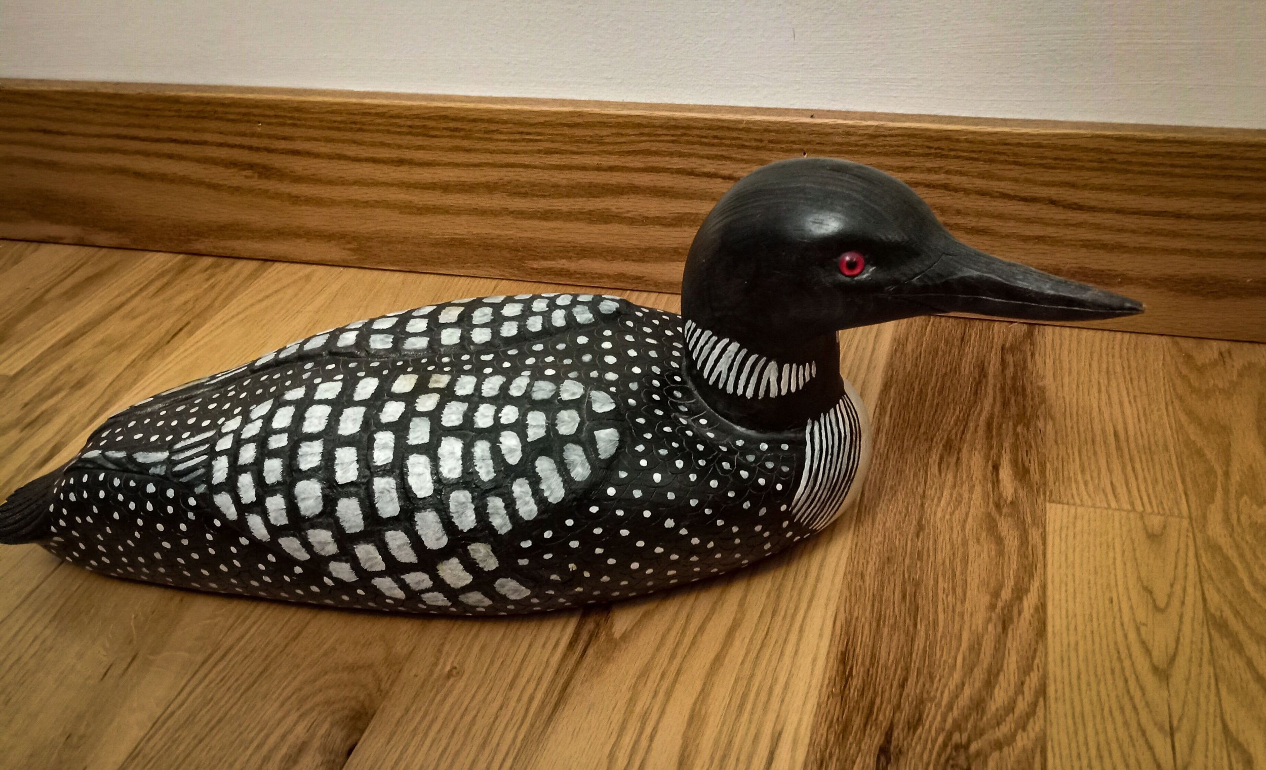 Loon1.jpg