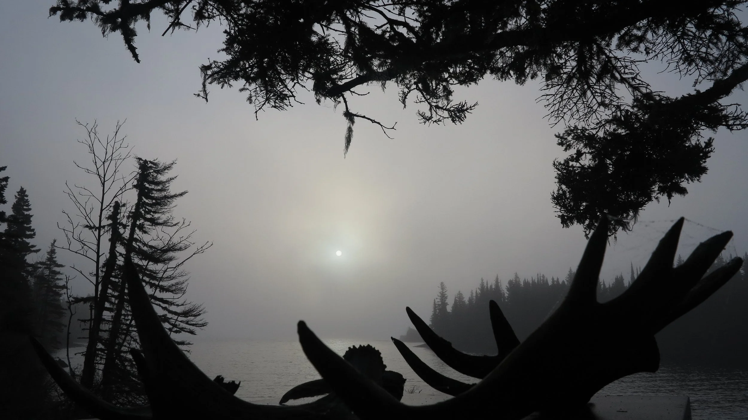 Morning has Broken, by Charles Boumiea