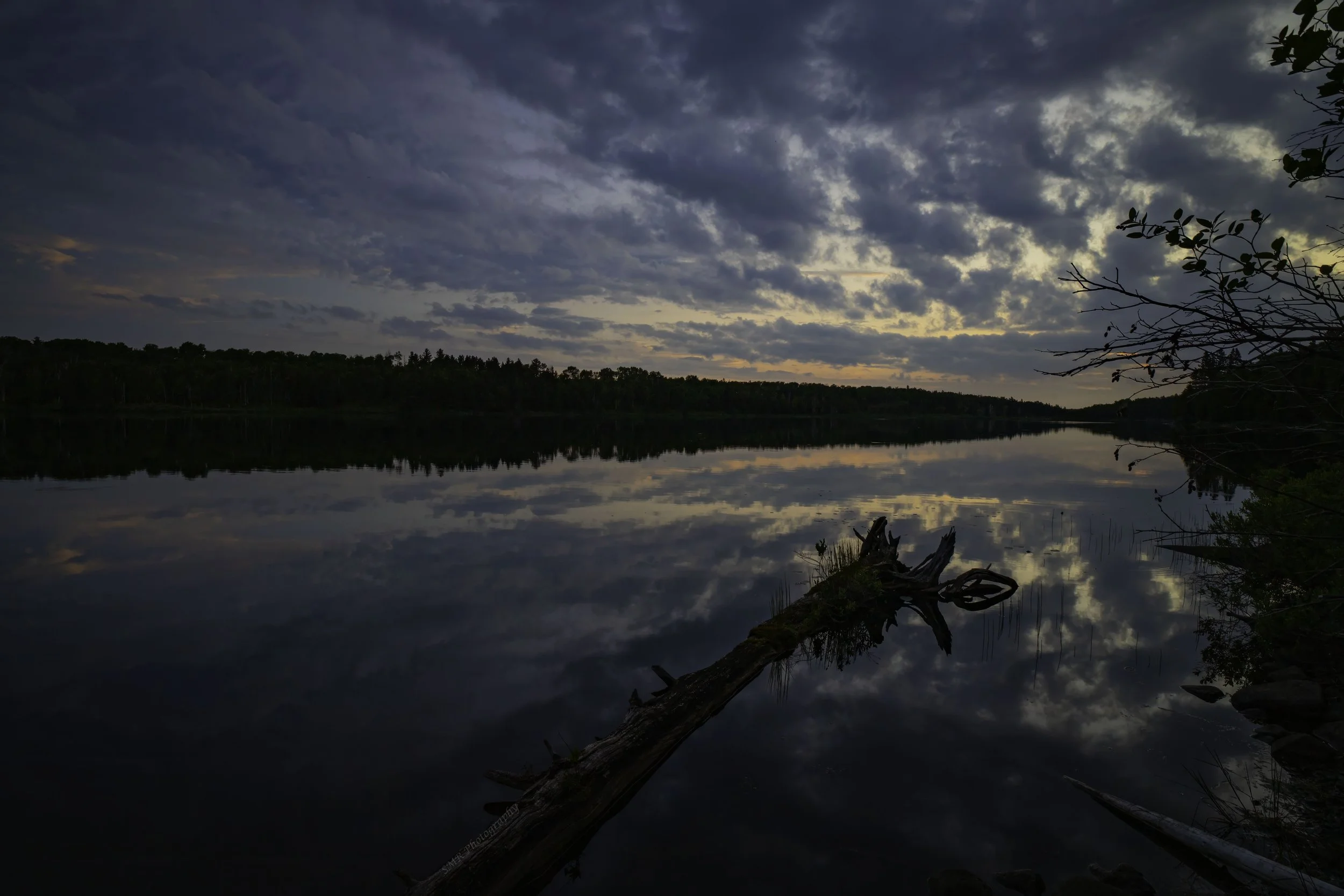 Photo by Shannon Roloff