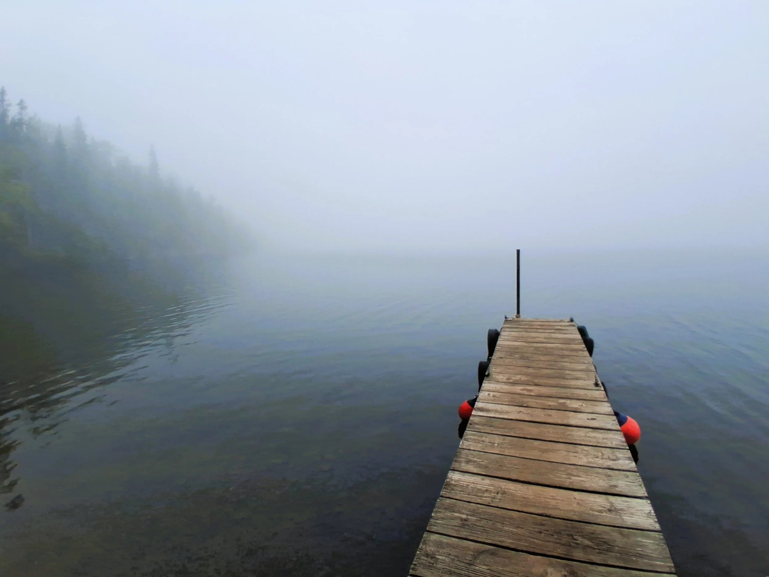 Isle Royale Fog, by Lisa Renfro