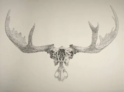 Minongers: A Limited-Edition Print Celebrating Isle Royale’s Wild Legacy