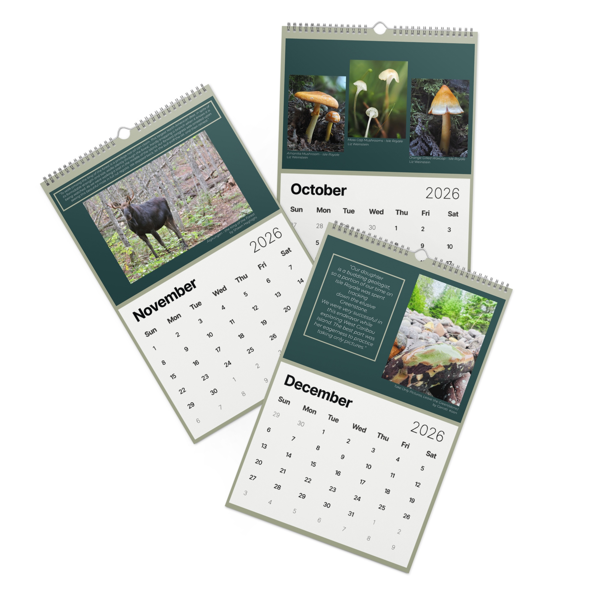 wall-calendar-(2026)-start-w-sun-11x17-front-4-68f785c30d4c0.png