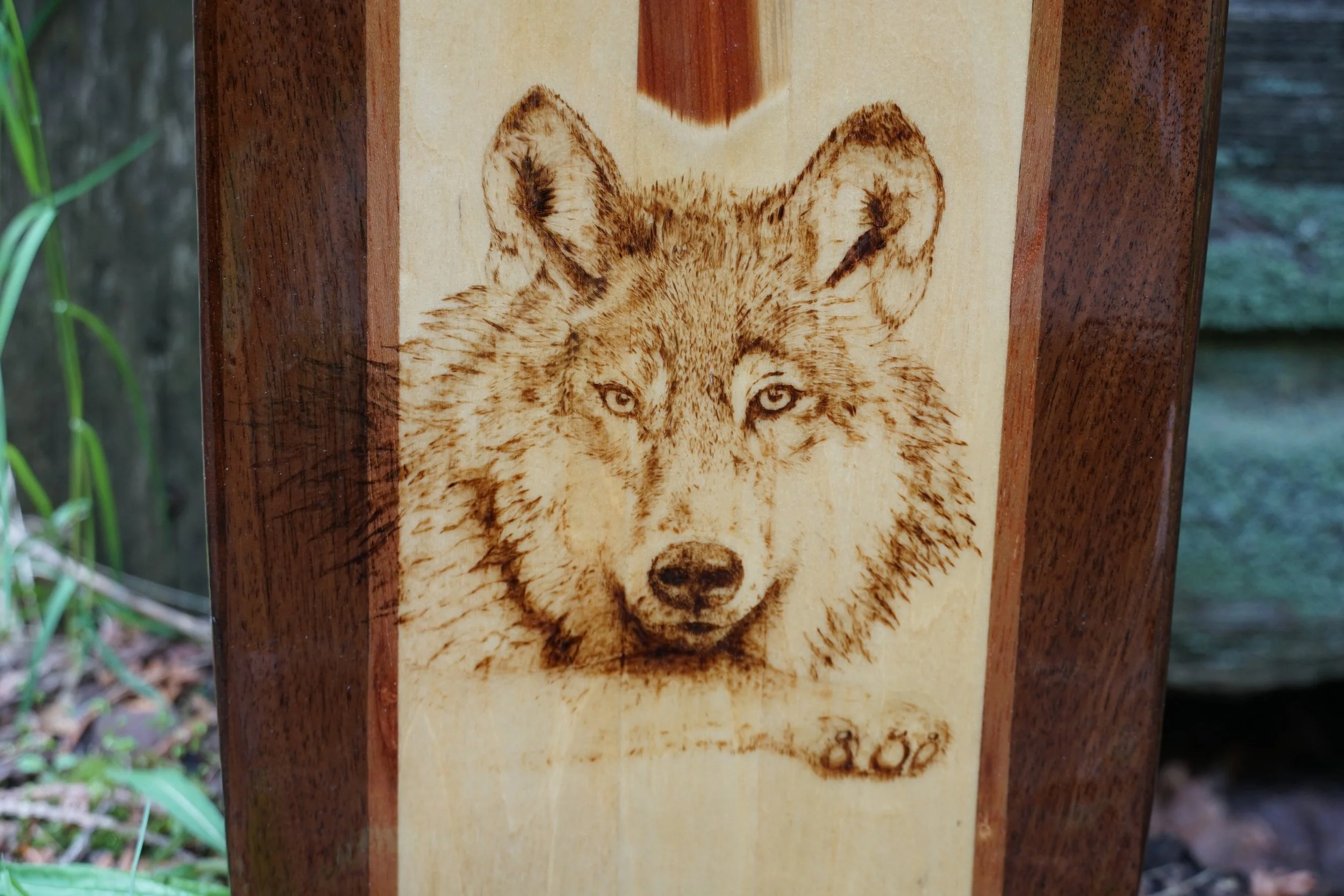 Paddle_1.JPG