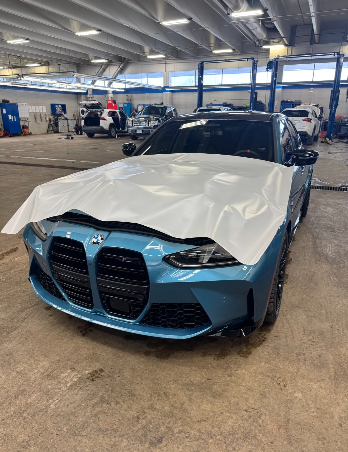 Window Tint