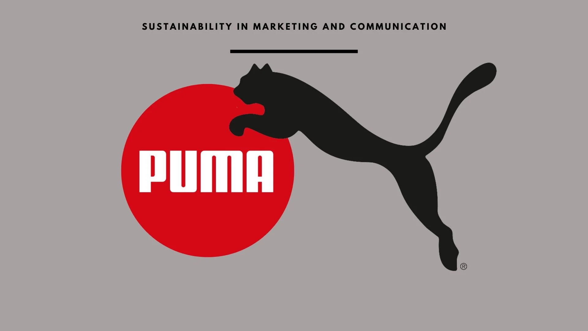 IE Business School / Sustainability Marketing Strategy