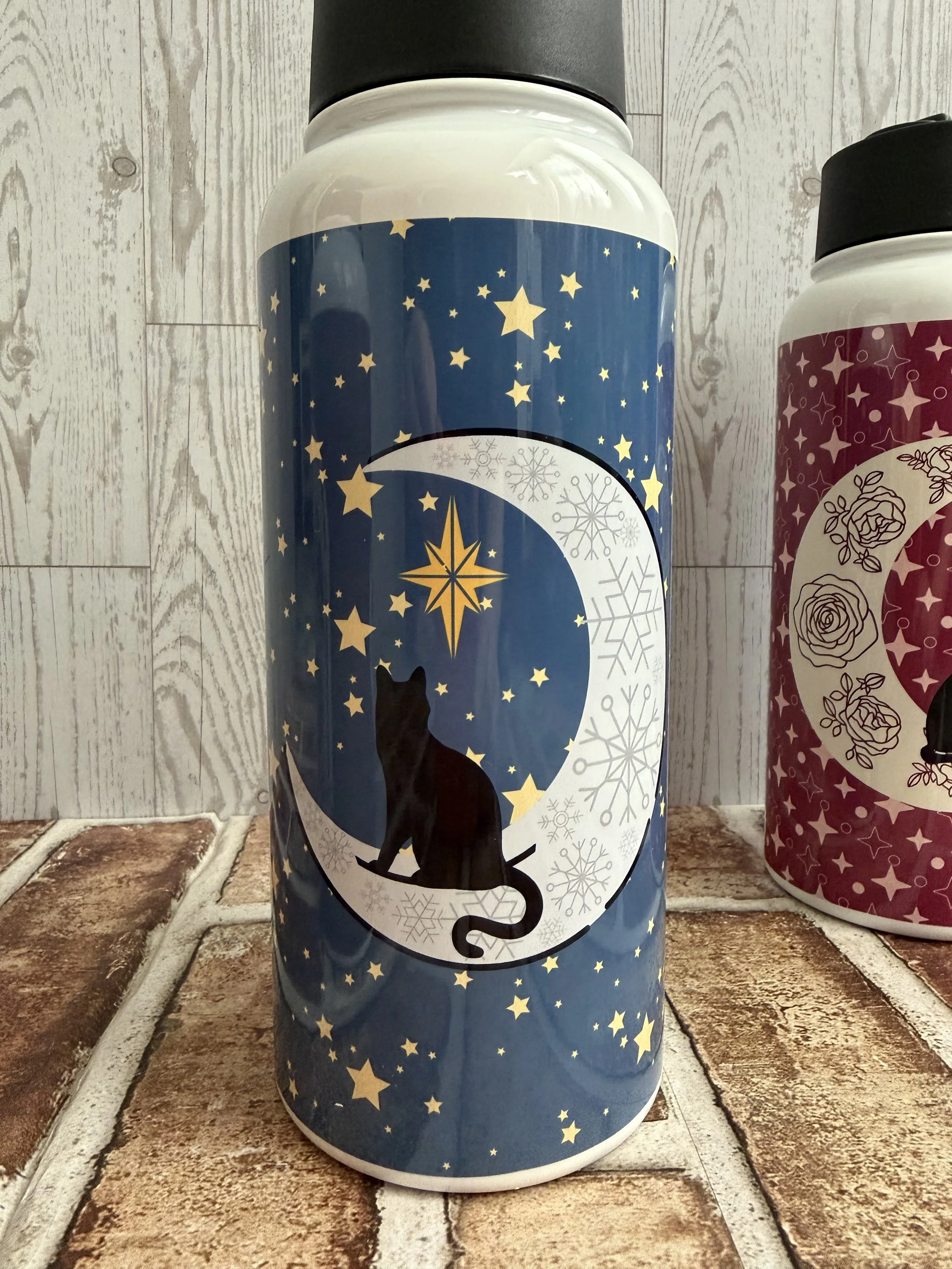 Winter black cat stargazing from Silvery Crescent moon.jpeg