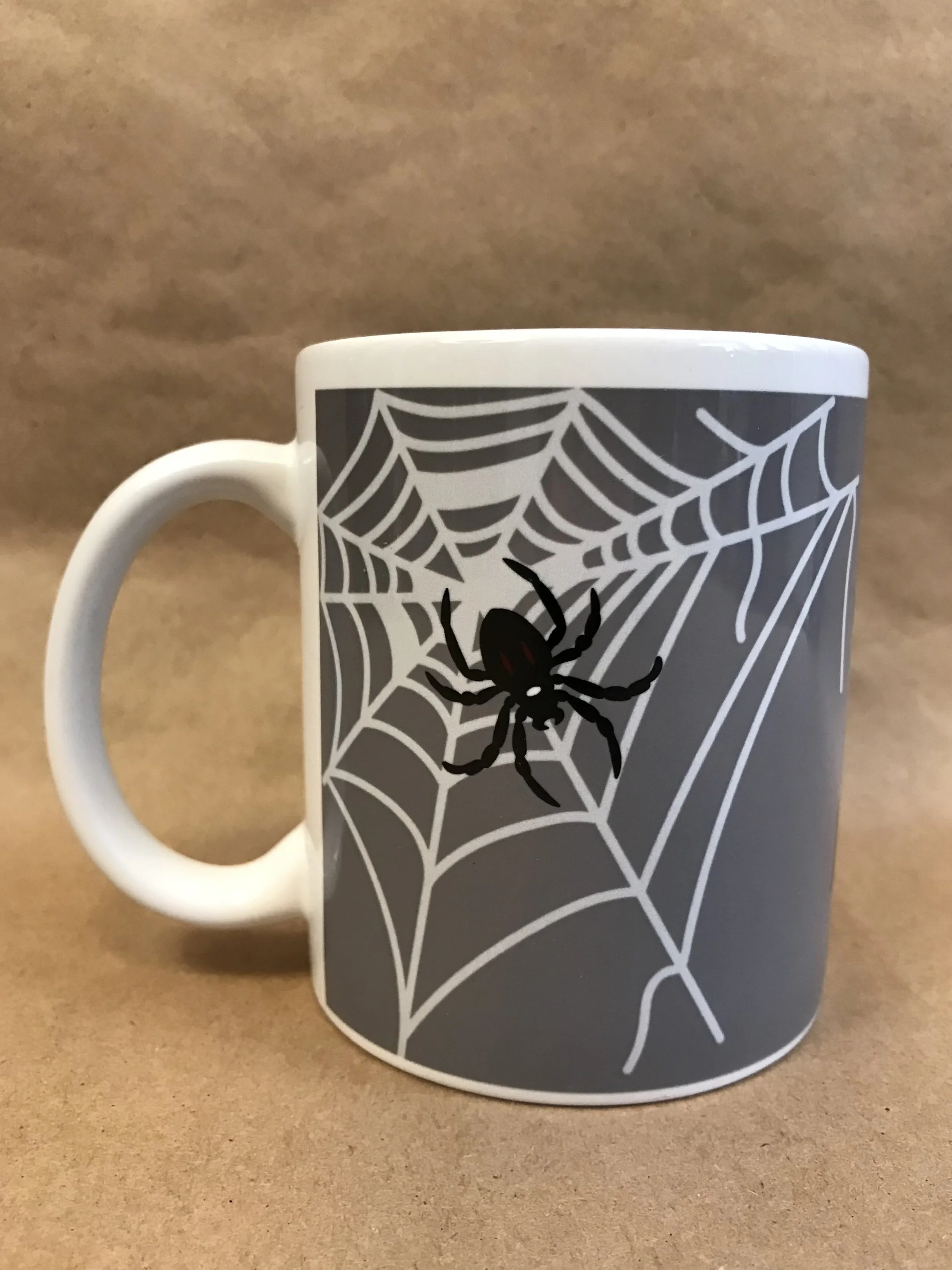Apider mug spider and web right.jpeg