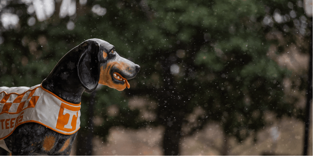 (Email Header) Student Newsletter.gif