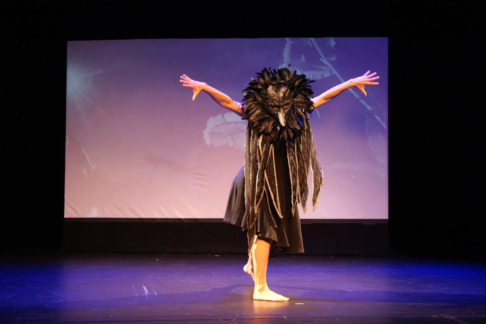 Raven Dance photo Johan Larson