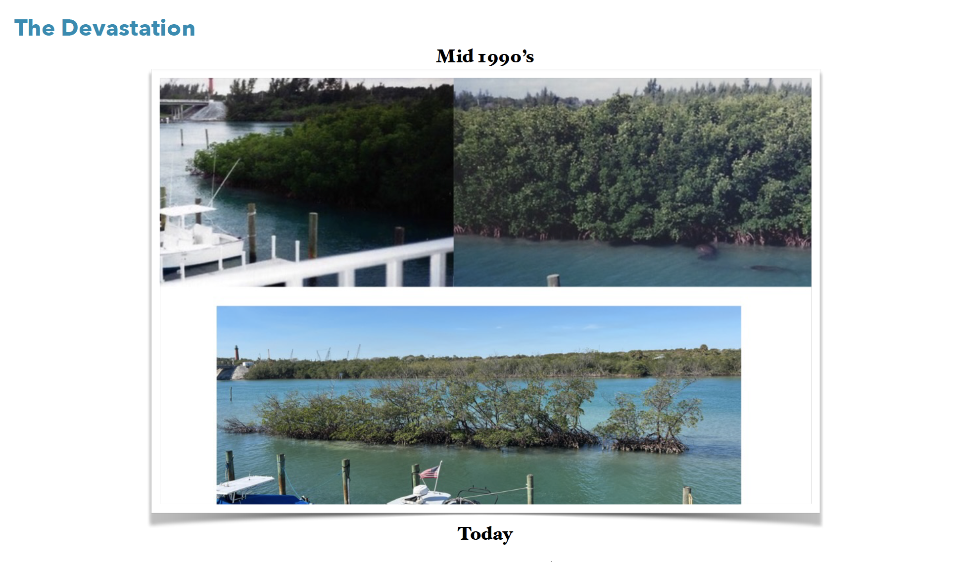 Screen Shot 2024-03-07 at 8.06.11 PM.png