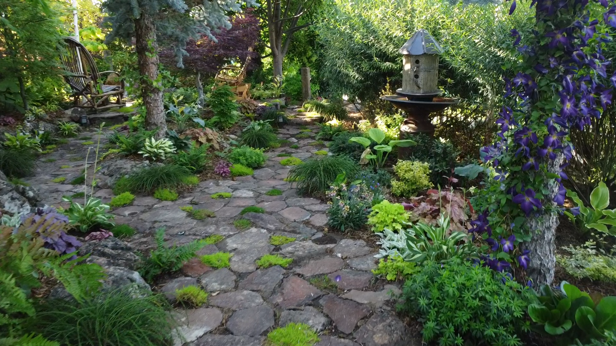 A garden pathway made of irregular stones with patches of moss, surrounded by lush green plants, shrubs, and trees. There are wooden benches on the left side and a birdhouse on a pedestal on the right, with purple flowering vines climbing nearby.