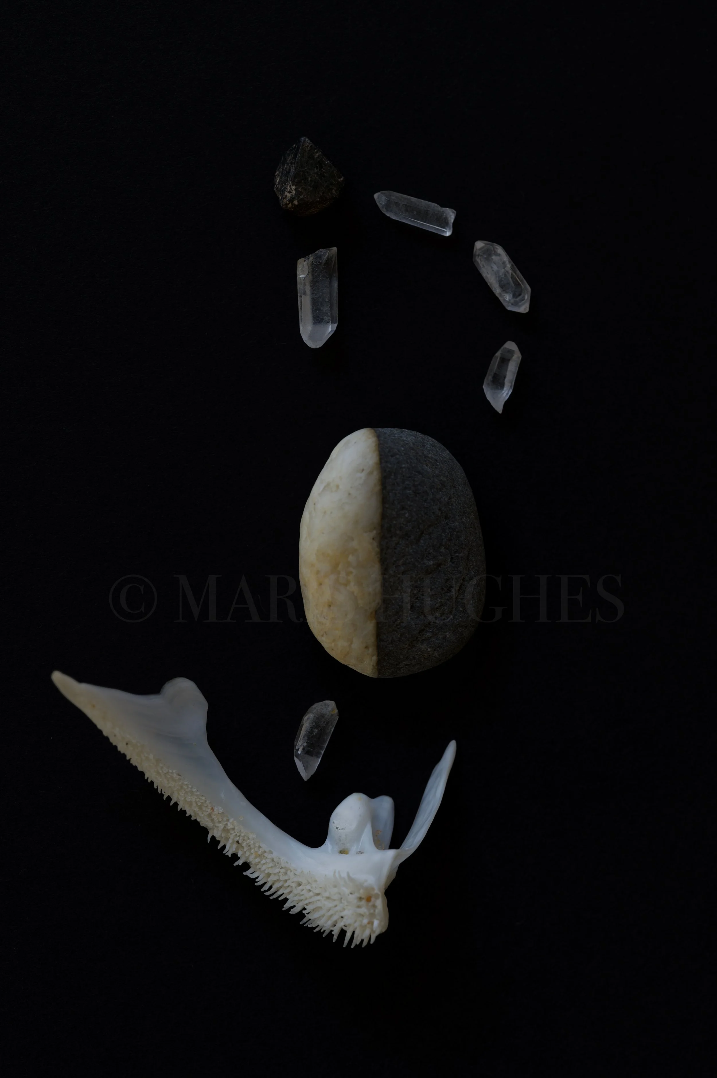 Banded quartz-rich stone, magnetite, fish jaw, Arkansas quartz-points