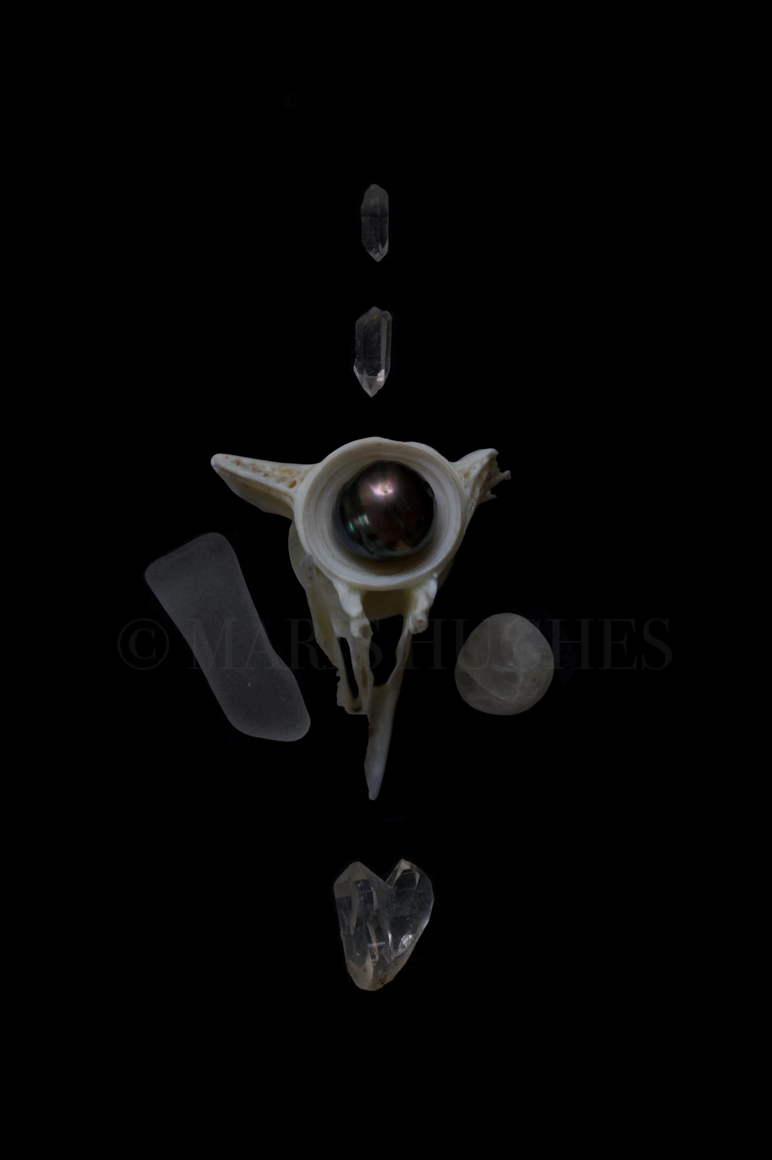 Marine vertebrae, black Tahitian pearl, sea glass, quartz-rich stone, Arkansas quartz points