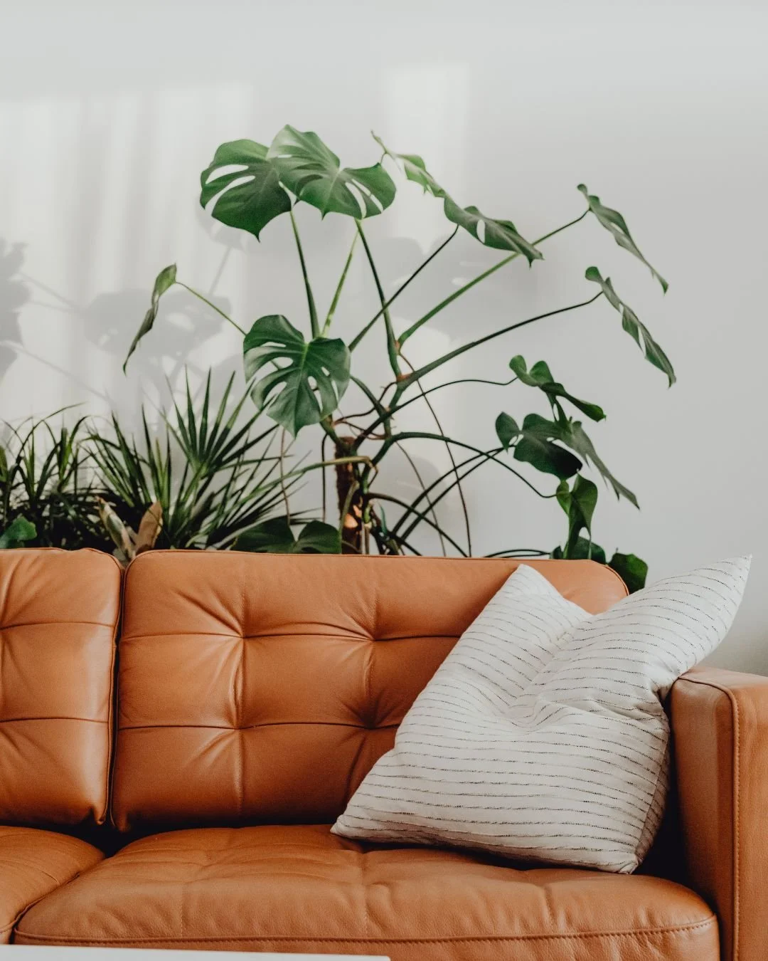 Orange couch with green plants behind
