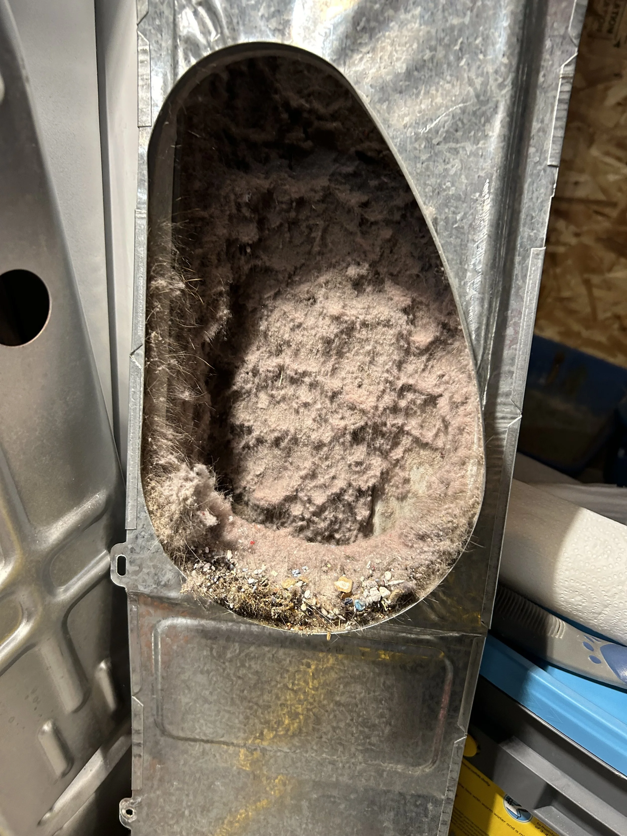 Top of inside lint trap before cleaning