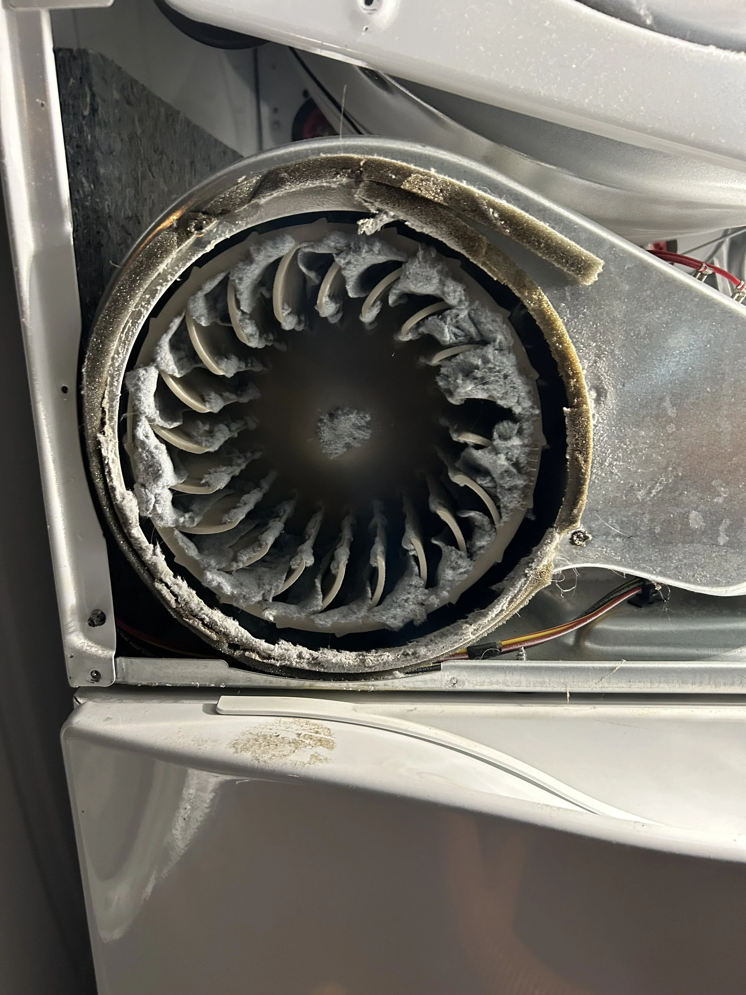 Dryer fan before cleaning 