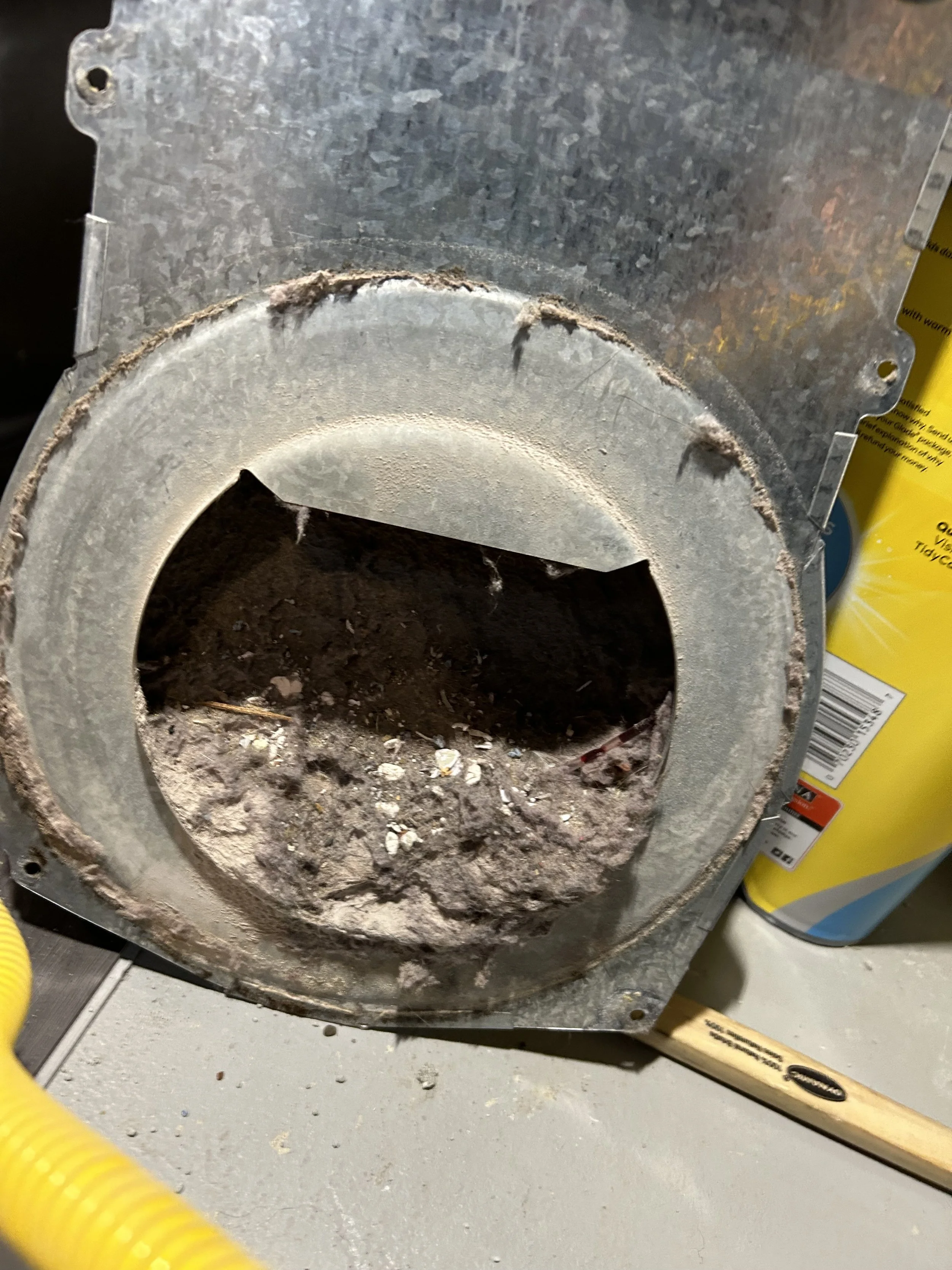 Bottom of inside lint trap before cleaning 