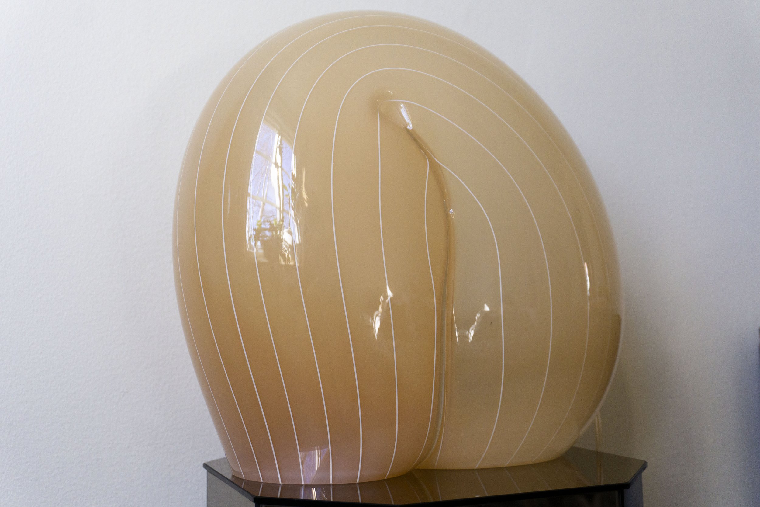 nautilus3.jpg