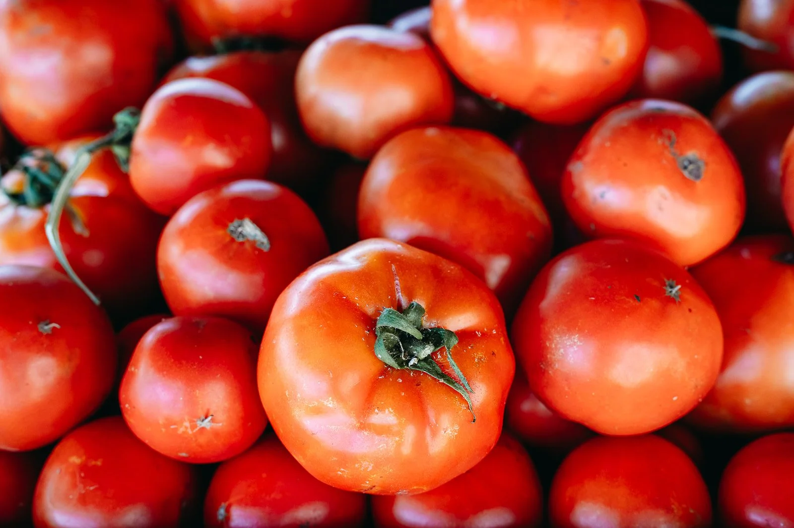 Tomato Time &amp; the clock is ticking