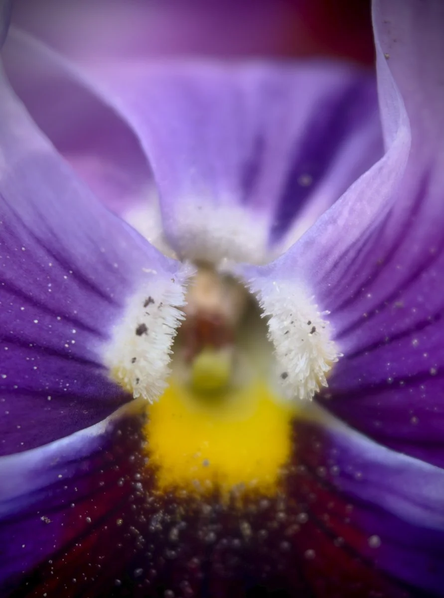 Fotokurs in der Natur mit Klaus Hoffmann Fotograf