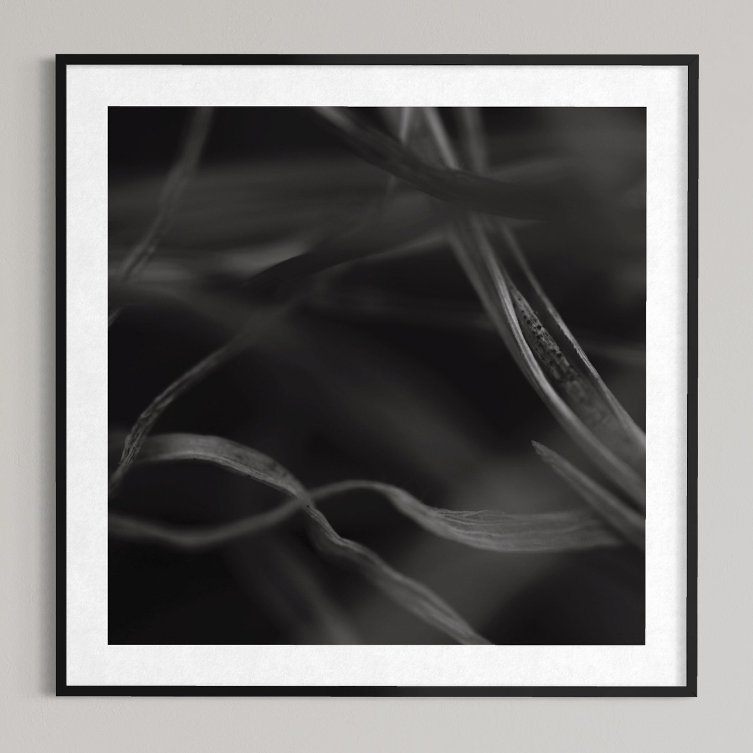 passed away - my feelings Crans-Montana - Nature Haiku - disparu - mes sentiments Crans-Montana - Haïku sur la nature