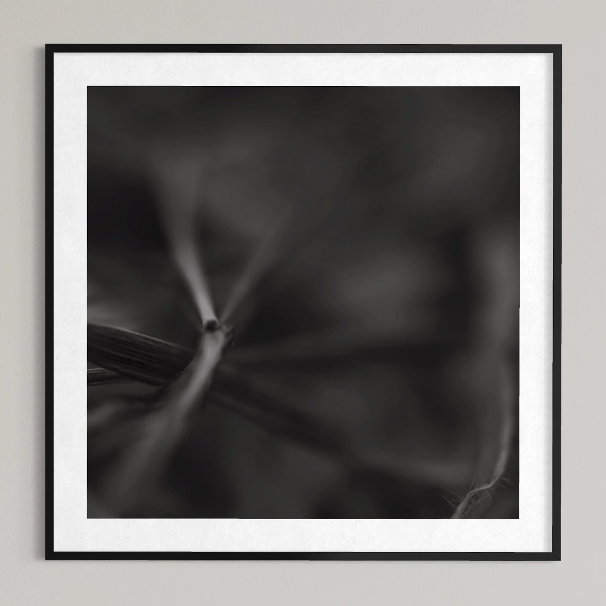 Schwarzweiss im Quadrat - Serie Passed away - my feelings Crans-Montana - Nature Haiku