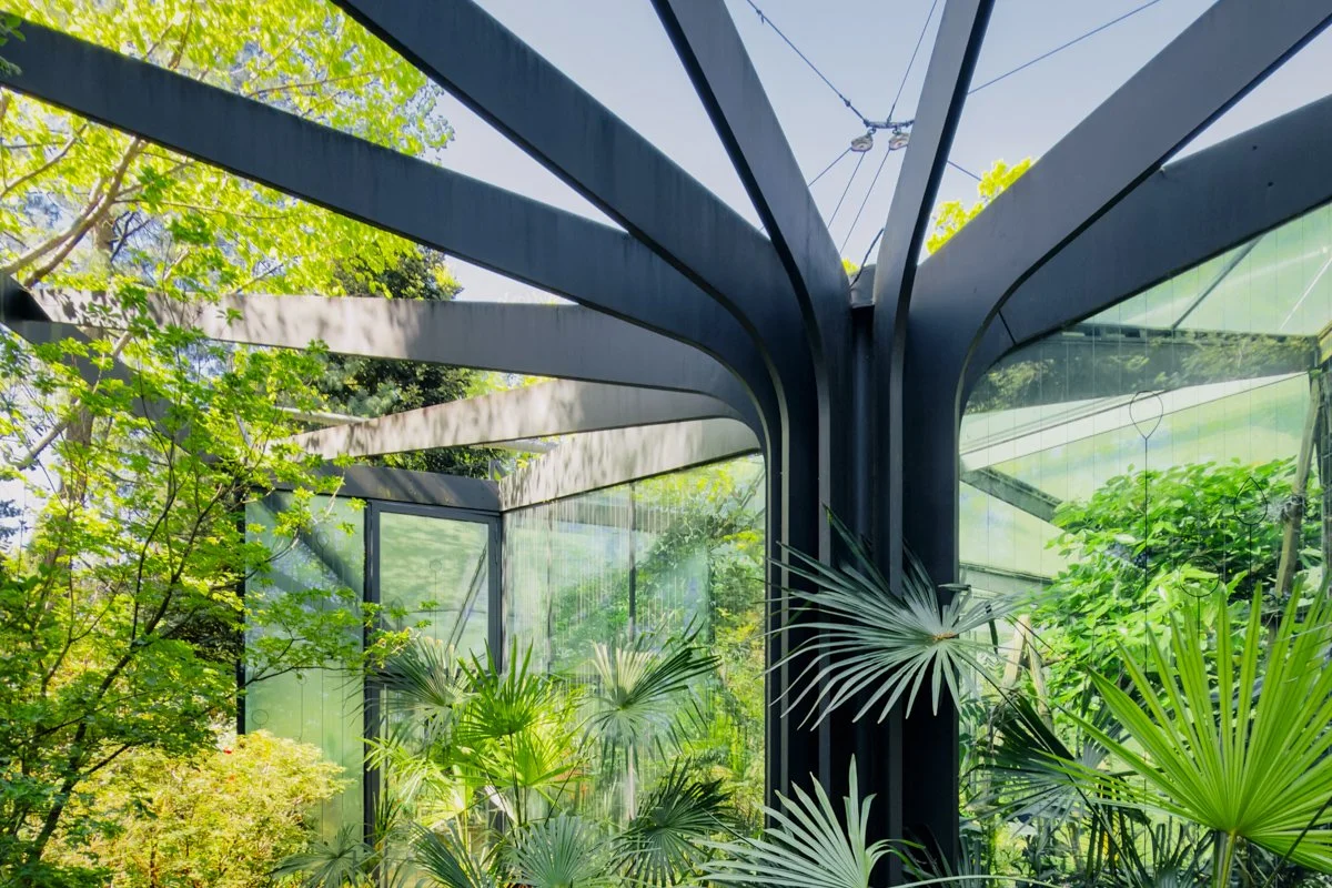 iPhone Fotokurs Klaus Hoffmann Wetzikon Zürich Botanischer Garten Grüningen