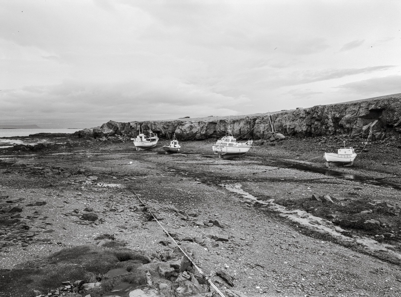 island42.jpg
