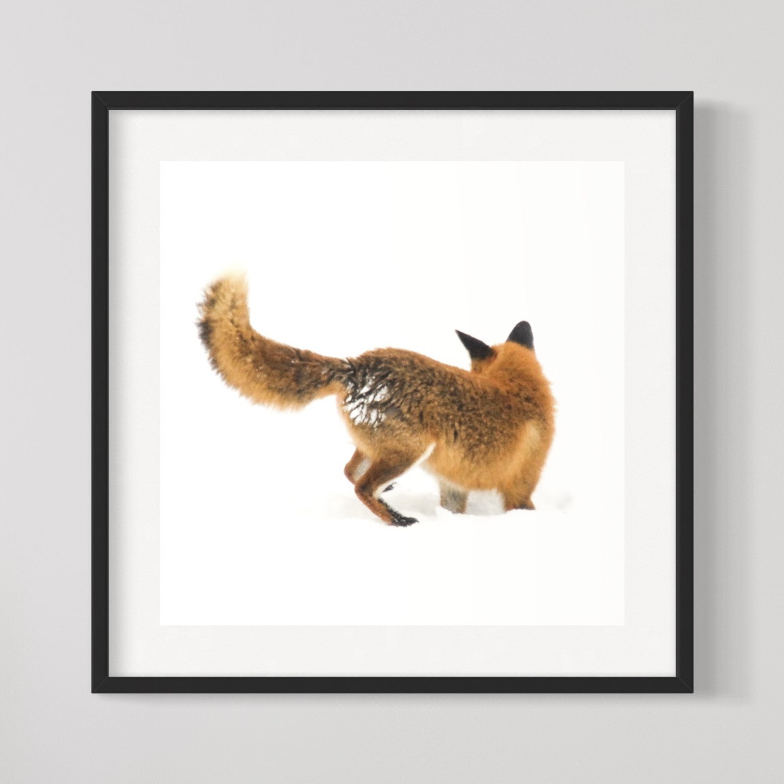 Fuchs & Art - Rotfuchs bei der Mausjagd 7