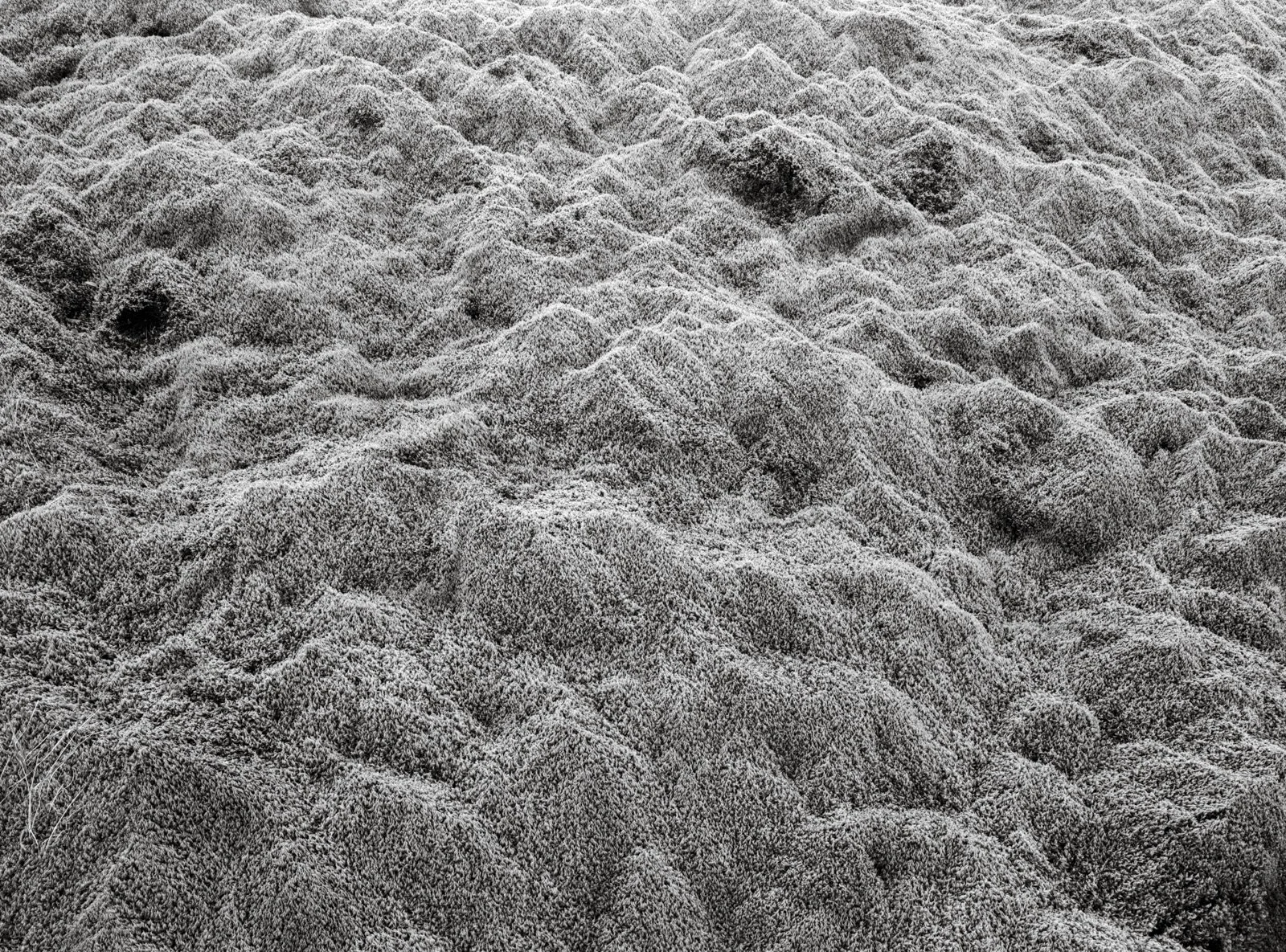 island51.jpg