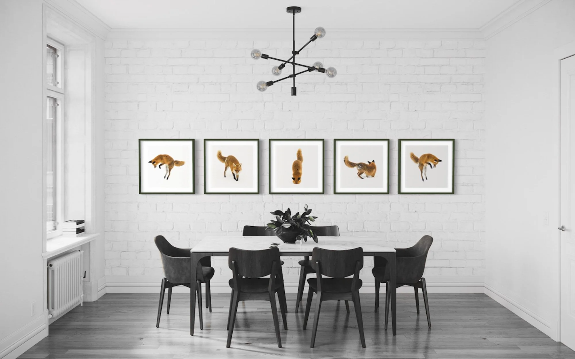 Füchse im Schnee - Tanz eines Rotfuchs - Fuchsbild