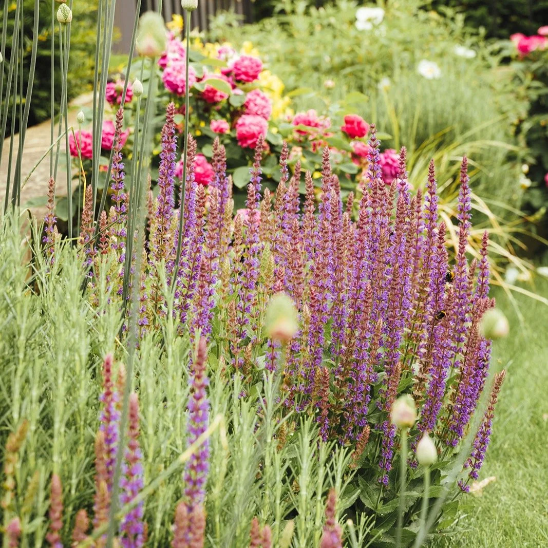 Regular garden maintenance isn&rsquo;t just for summer &mdash; it&rsquo;s the key to keeping your outdoor space healthy, resilient and looking its best all year round. From seasonal pruning and soil care to lawn treatments and winter protection, our 