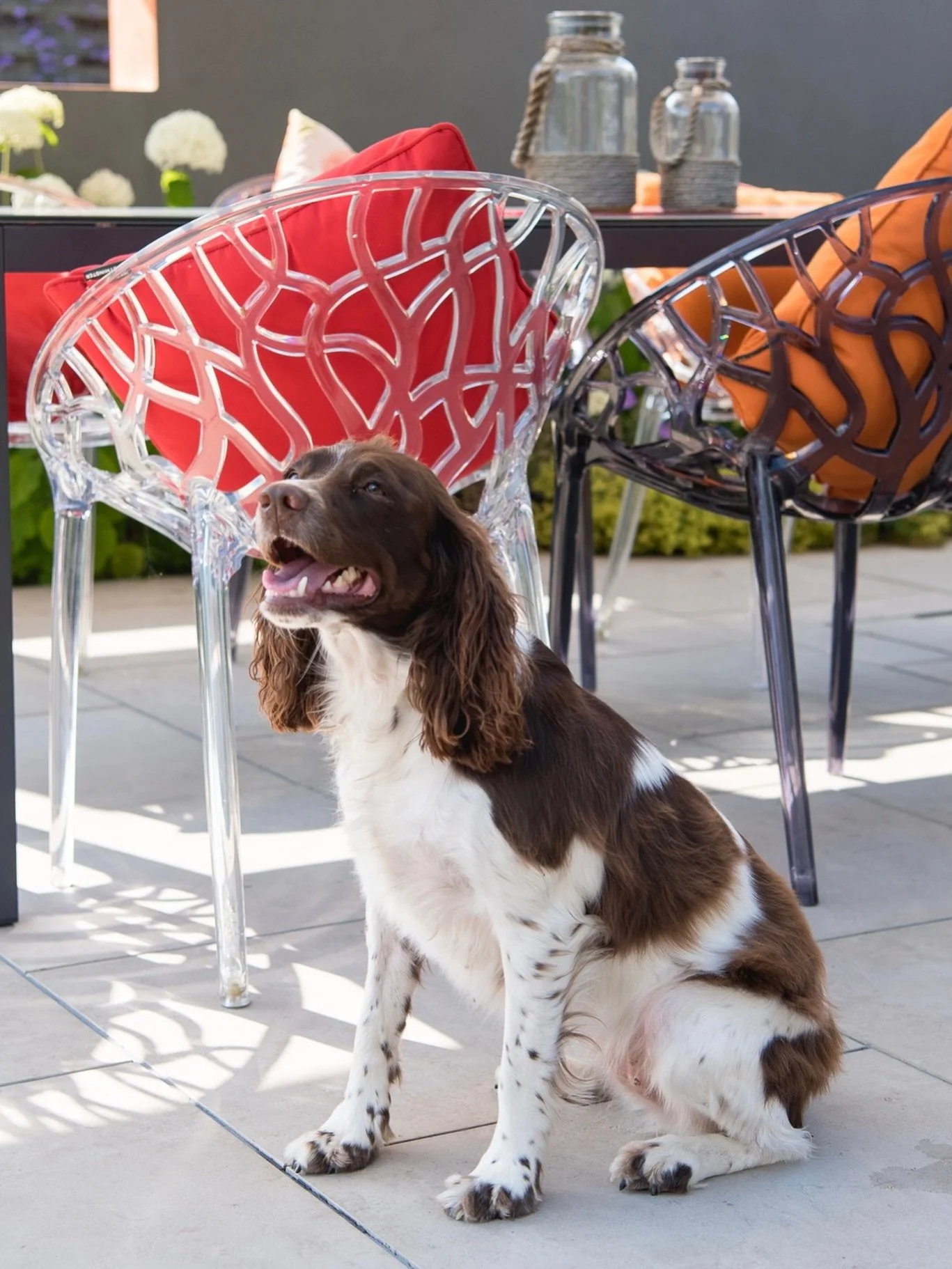 We hope you all had a great Christmas 🎄🎁🍾🎅🏼
From everyone at Langdale Landscapes, thank you for your support throughout the year &mdash; we&rsquo;re looking forward to another busy year ahead!