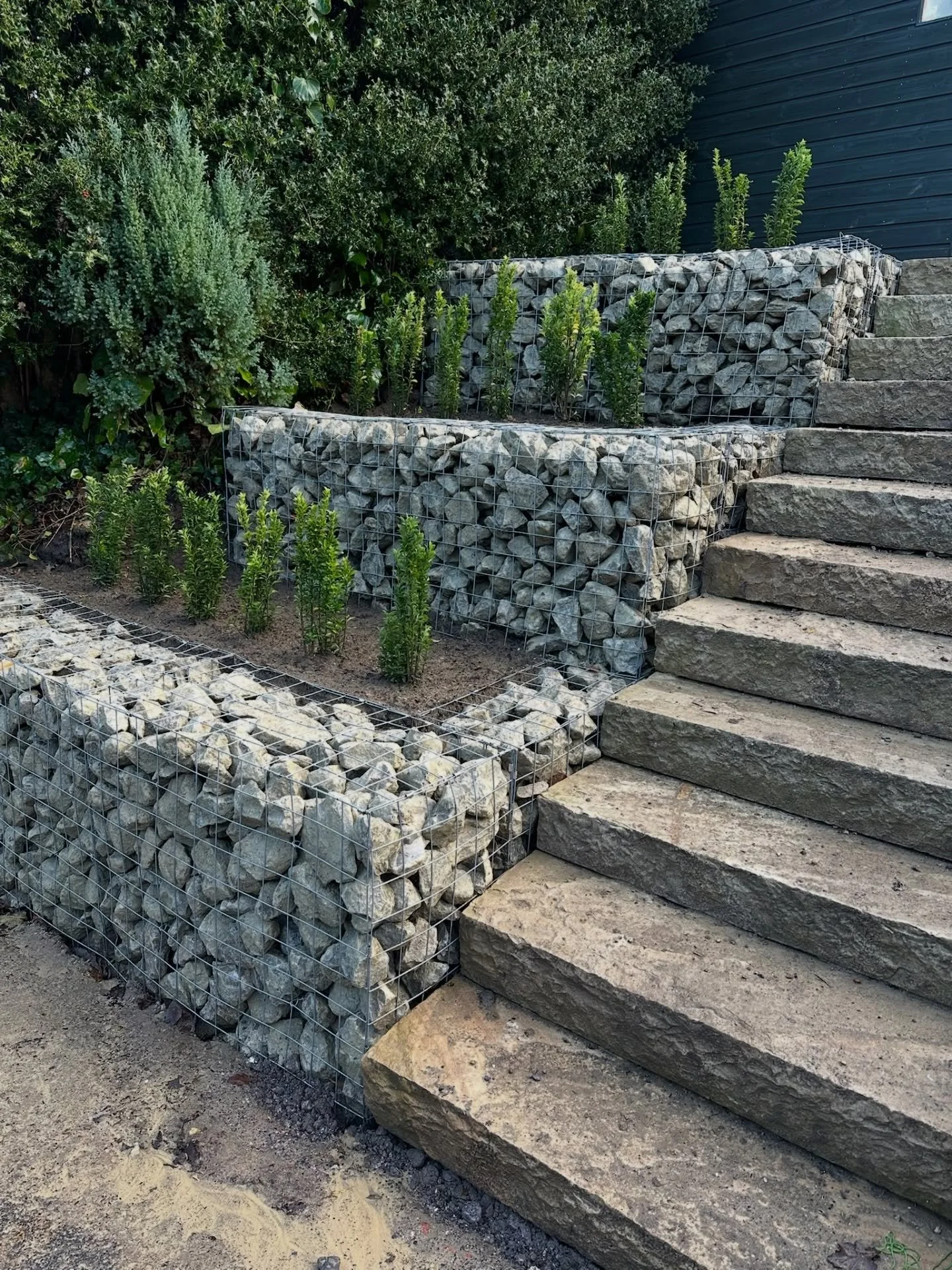 A steep, overgrown bank can be a real challenge &mdash; but also an opportunity.

For this front garden, we introduced structure and long-term stability using solid step treads installed as complete units, paired with gabions to retain the slope and 