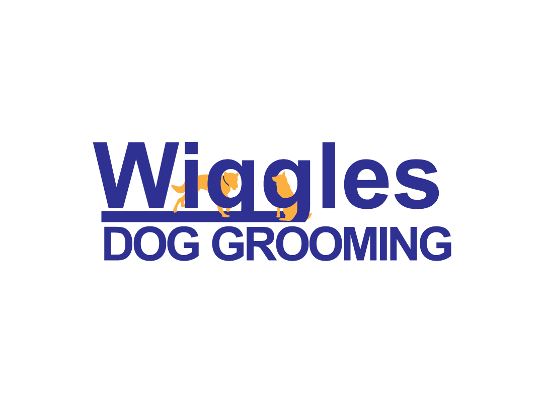 county-fair-wiggles-carousel-logo-wide-v1.png