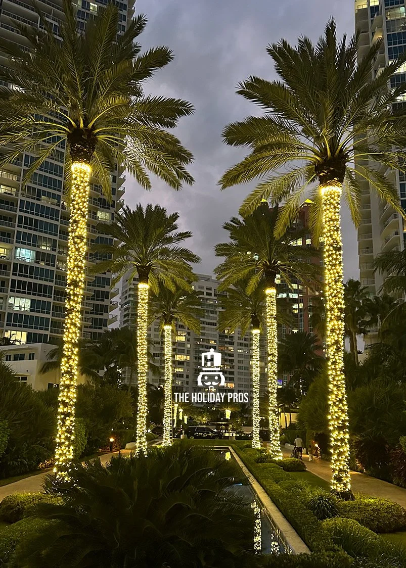 continuum palms.jpg