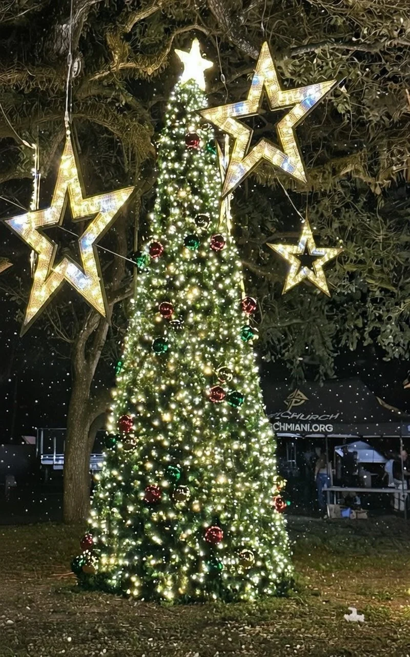 A decorated Christmas tree with white lights and red and green ornaments, topped with a white star, surrounded by illuminated star-shaped decorations hanging from a tree.
