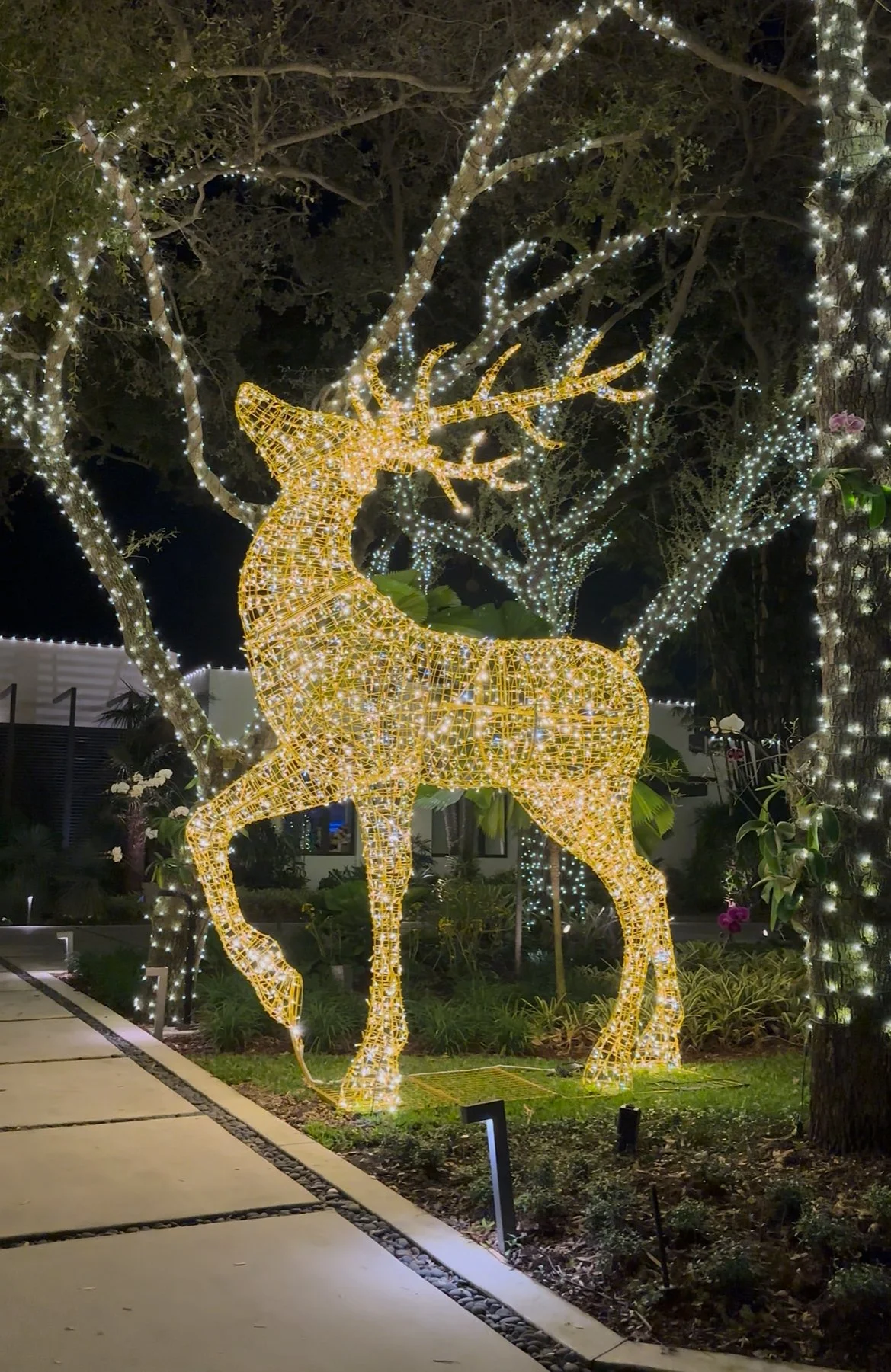 A large illuminated reindeer decoration made of gold-colored lights, standing among trees wrapped in white string lights at night.