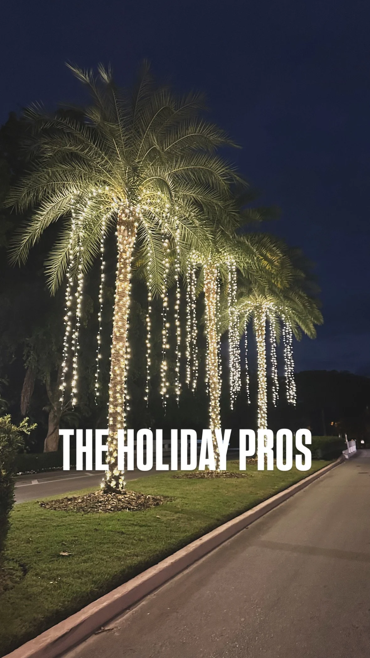 professional christmas lighting