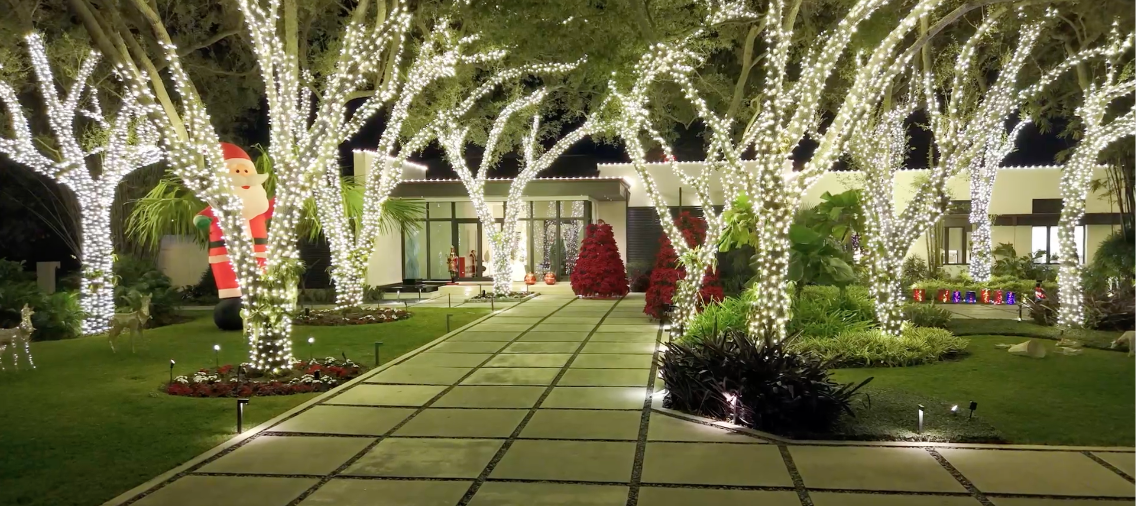 Oaktrees christmas lights.png