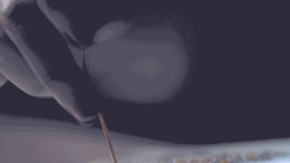 image-asset.gif