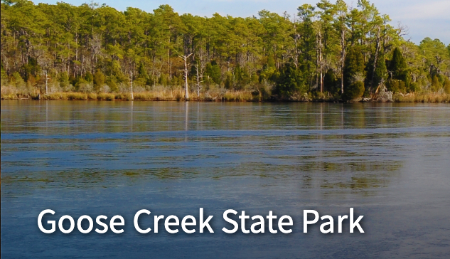 Camping at Goose Creek State Park