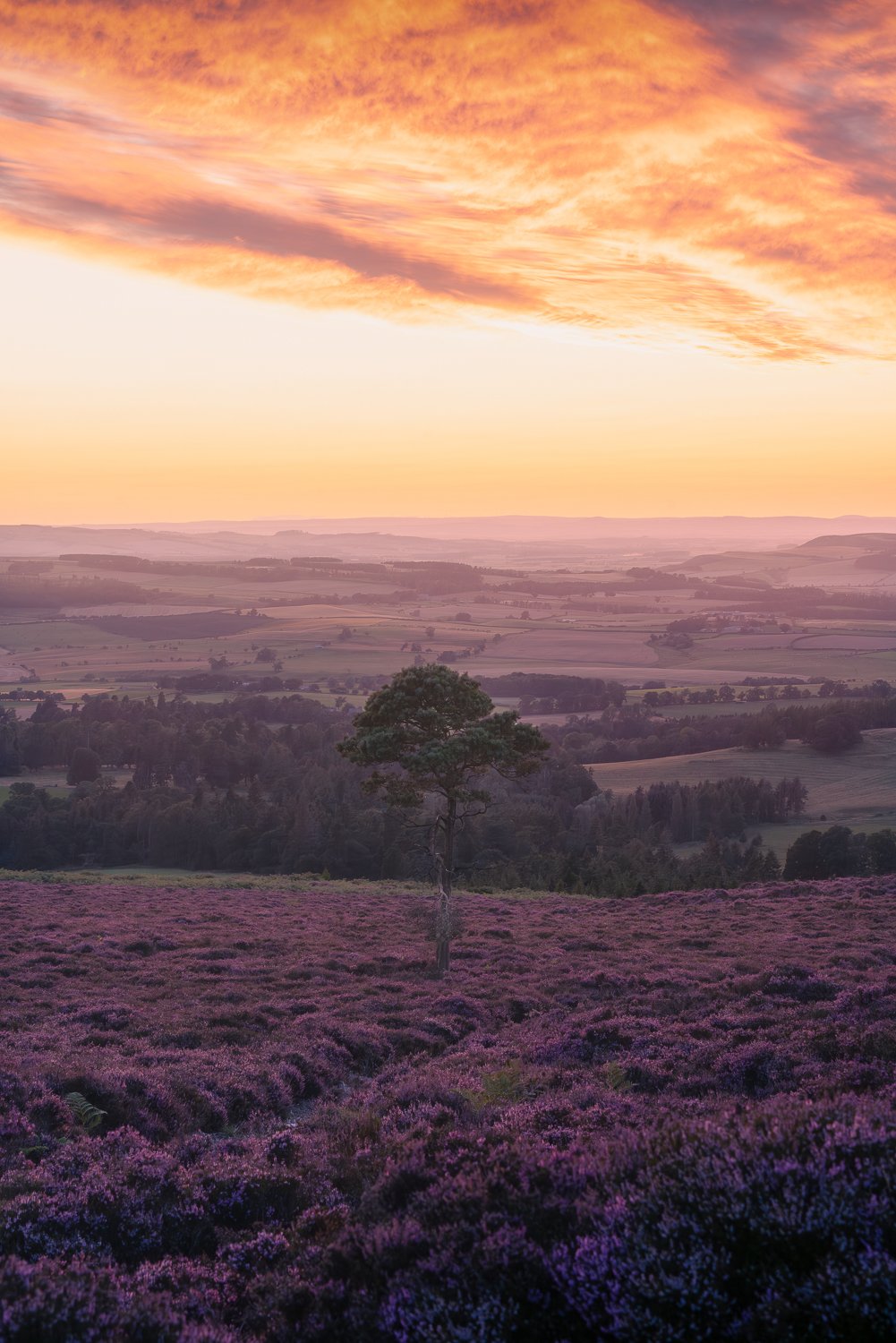 Heather sunset on Hepburn Moor