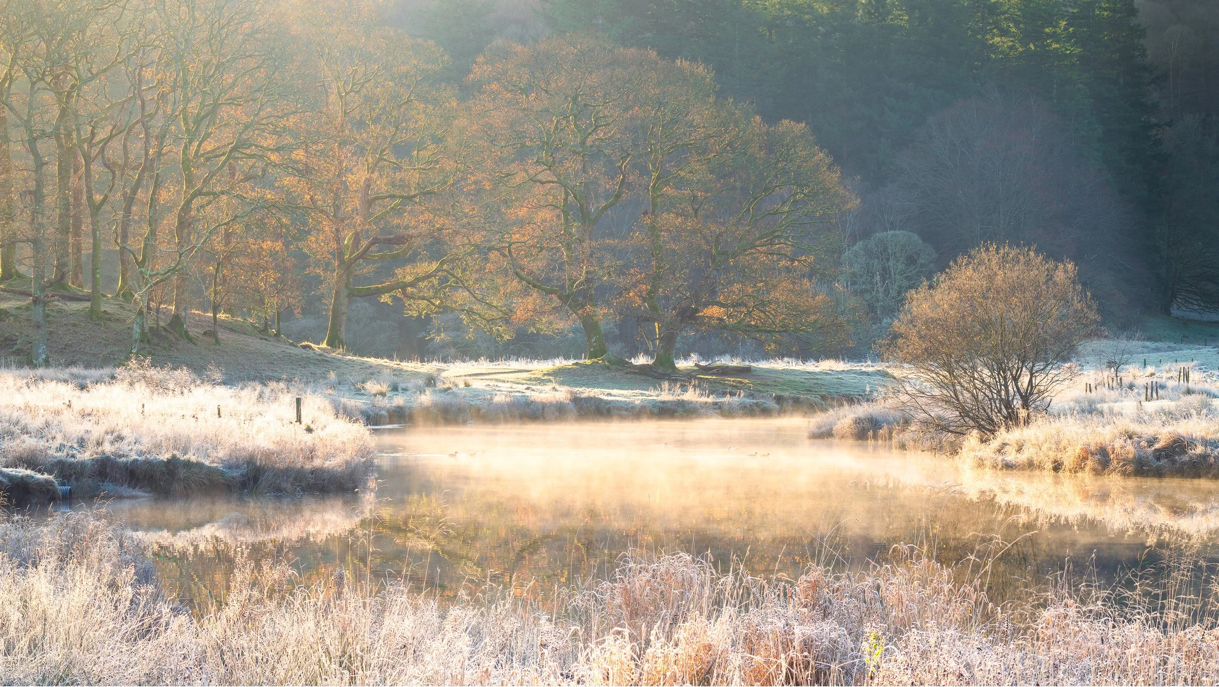 River Brathay - Nov 2025 .jpg