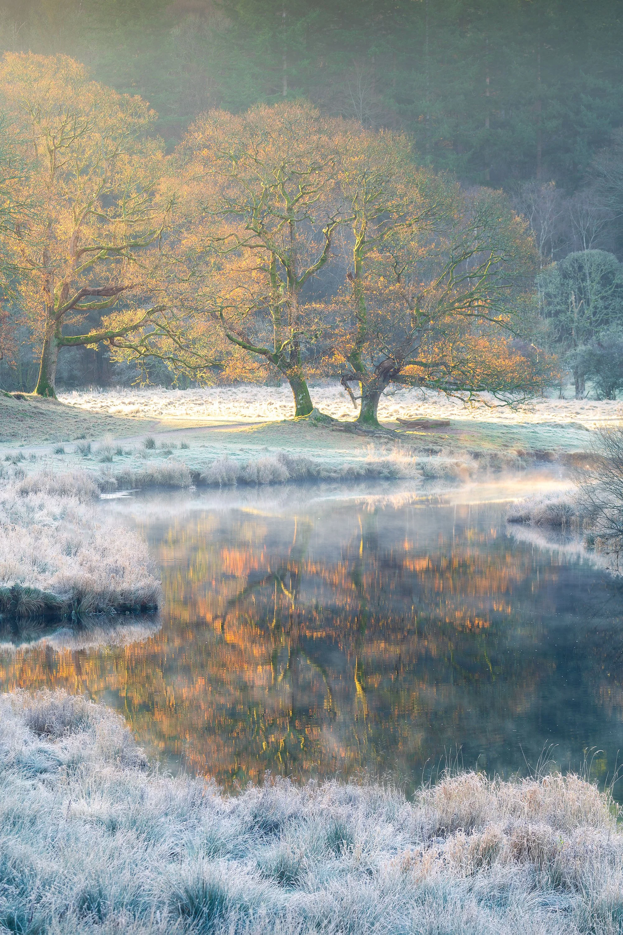 River Brathay Nov 2025 .jpg